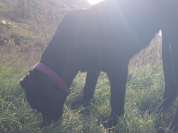 la r'enduro du 17/11/13