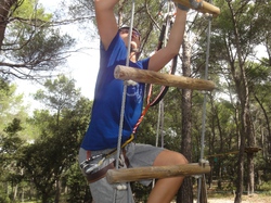 roc + accro branches