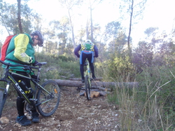 sortie jeunes du 07/12/13