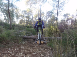 sortie jeunes du 07/12/13