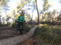 sortie jeunes du 07/12/13