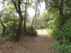 sortie jeunes du 10/05/14