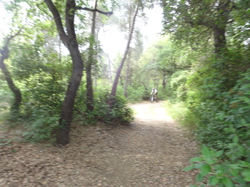 sortie jeunes du 10/05/14