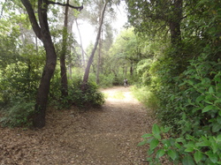 sortie jeunes du 10/05/14