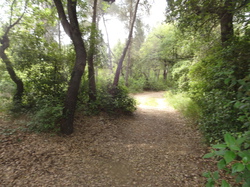 sortie jeunes du 10/05/14