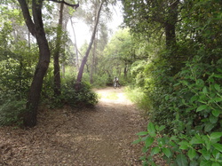 sortie jeunes du 10/05/14