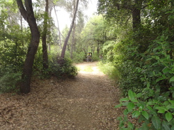 sortie jeunes du 10/05/14