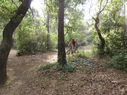 sortie jeunes du 10/05/14