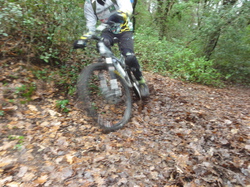 SOrtie jeunes du 14/02/15