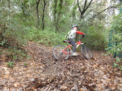 SOrtie jeunes du 14/02/15