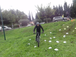 sortie jeunes du 16/11/13