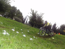 sortie jeunes du 16/11/13