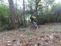 sortie jeunes du 16/11/13