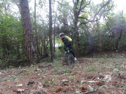 sortie jeunes du 16/11/13