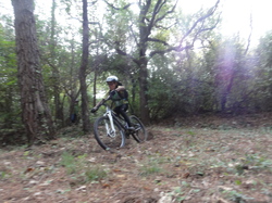 sortie jeunes du 16/11/13