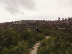 sortie jeunes du 30/11/13